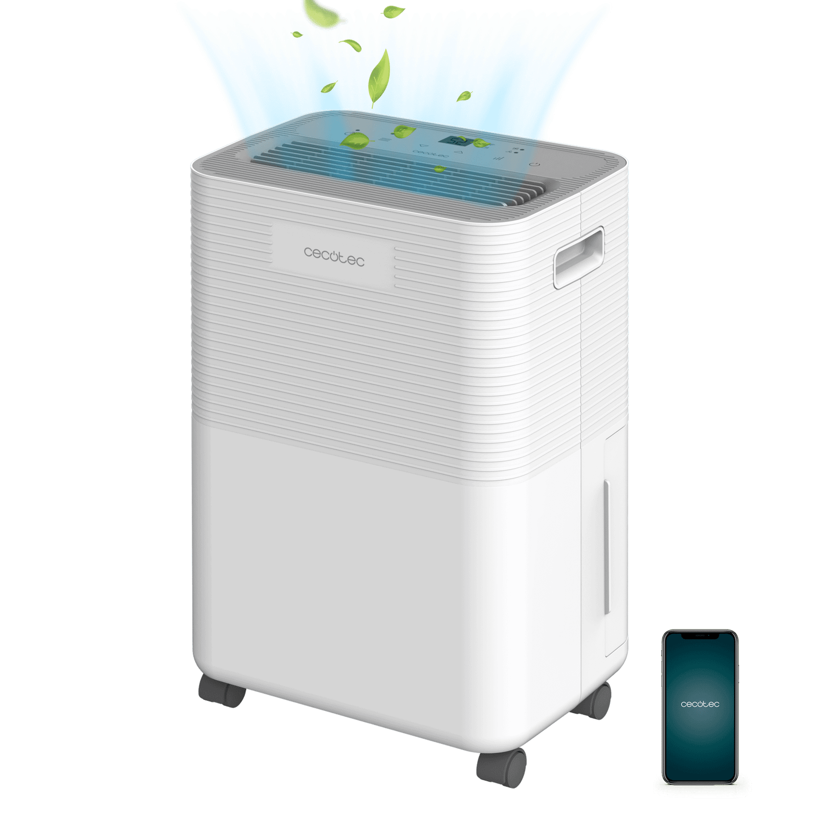 BigDry 8000 Expert Connesso
