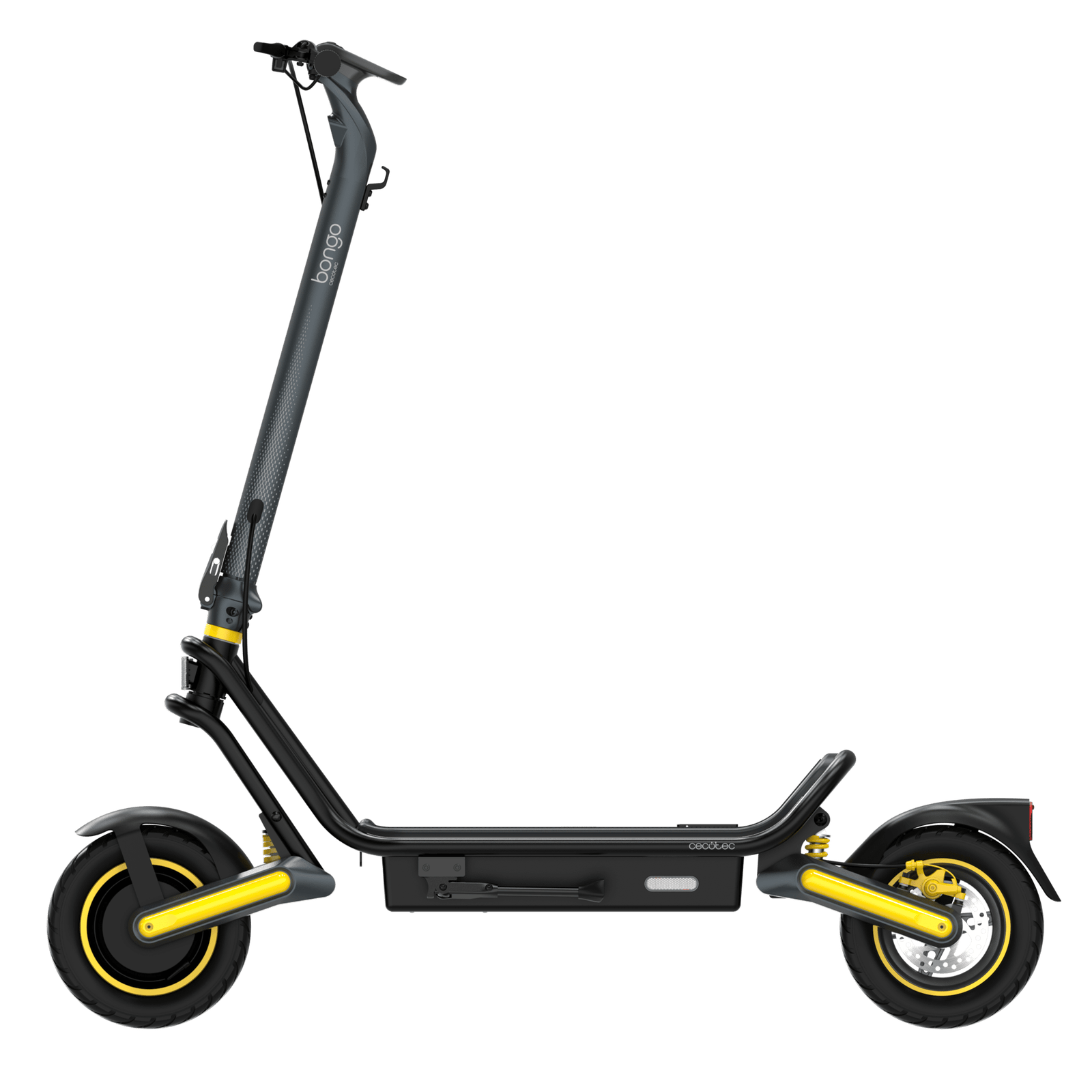 Bongo GS50 XXL Verbunden